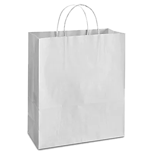 Small White Paper Bags with Handle