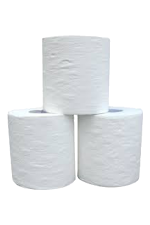 Bathroom Tissue Single Wrapped, 2 Ply 500 Sheet